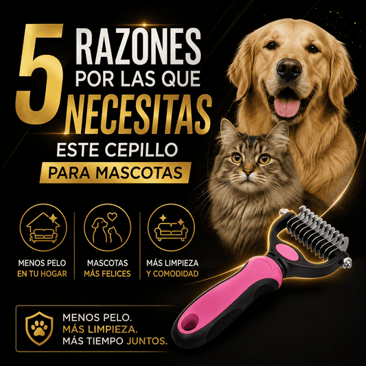Cepillo 5 razones